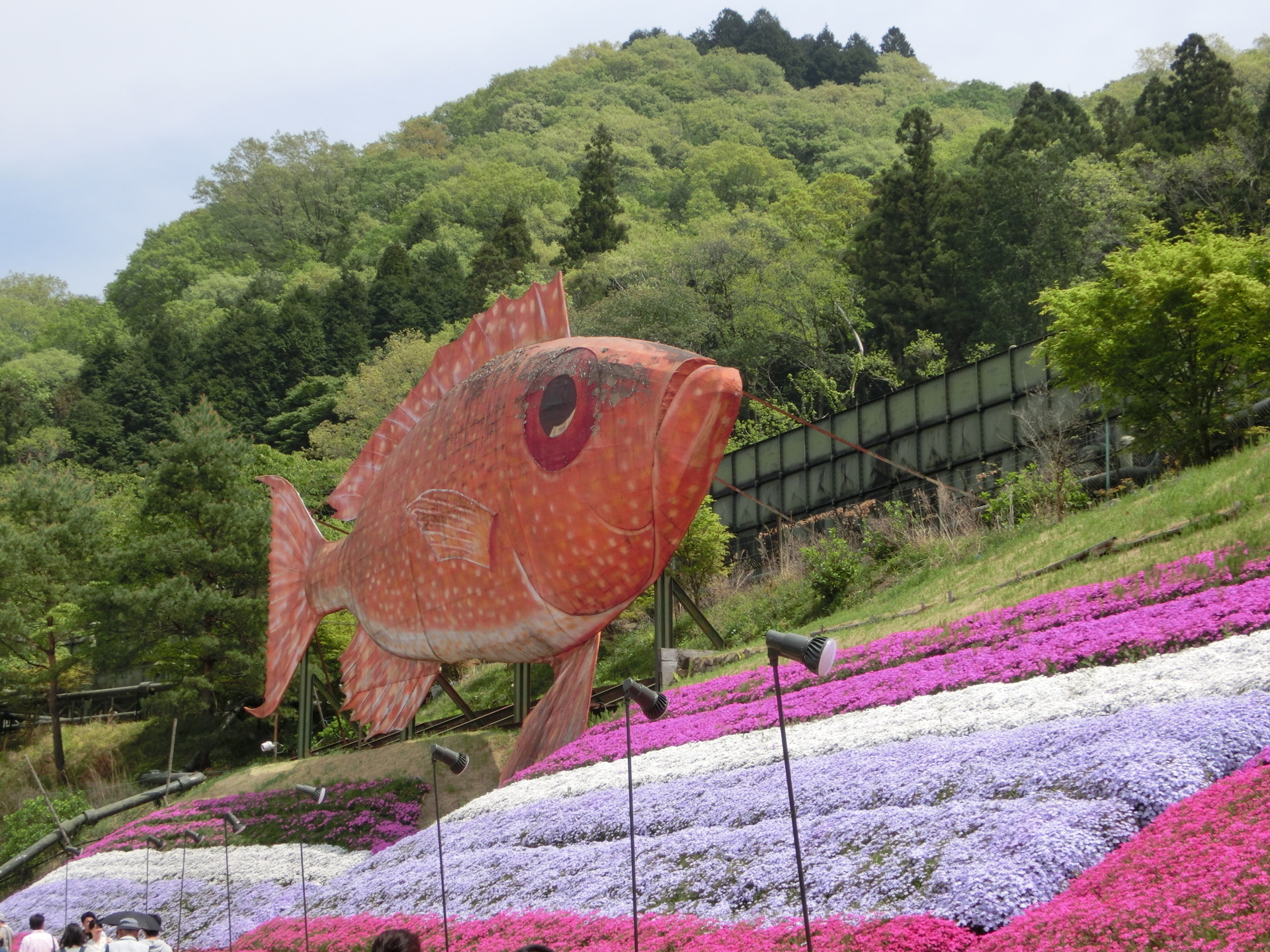 かまぼこ工房 夢鮮館 ヤマサ蒲鉾 姫路市 Meikeiの日暮らし No 2